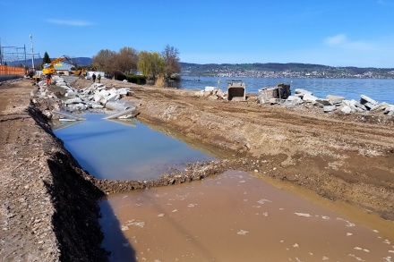 Seeuferaufwertung Richterswil