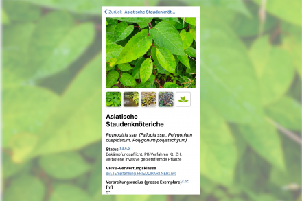 Grenzwerte.CH: mobiles Nachschlagewerk für Schadstoffgrenzwerte in der Schweiz!